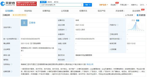 北京網(wǎng)絡(luò)技術(shù)服務(wù) 數(shù)字化浪潮下的創(chuàng)新引擎